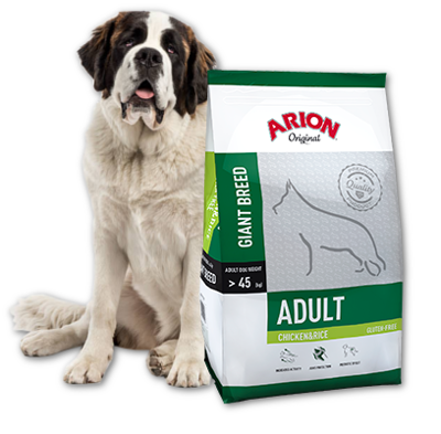 Arion Original Adult Giant Breed Chicken & Rice 12kg